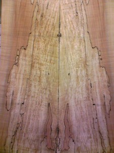 スポルテッド・メイプル(3A)